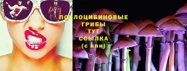 прущий лед Белокуриха