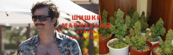 гидра Белоозёрский