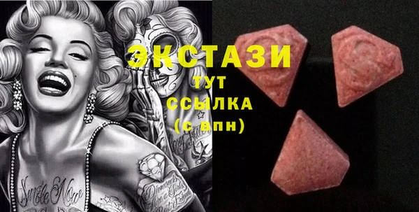 индика Богородск