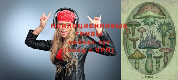 гидра Белоозёрский