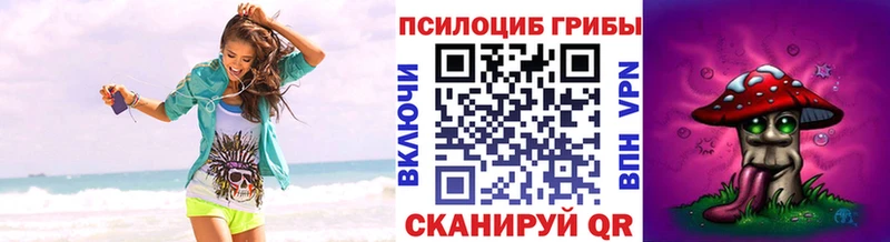 купить сайты Макаров Псилоцибиновые грибы MAGIC MUSHROOMS